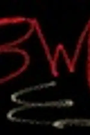 ปกนิยาย Beast War Online สงครามสัตว์อสูรออนไลน์