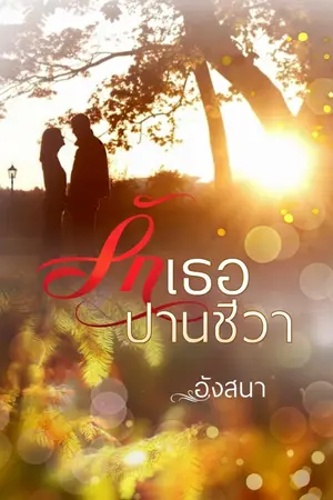 ปกนิยาย