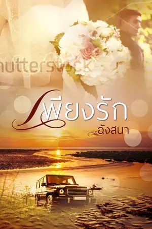 ปกนิยาย เพียงรัก.