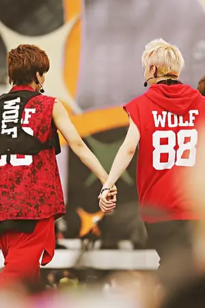 ปกนิยาย [kaihun exo] opposite แตกต่างเพื่อเติมเต็ม