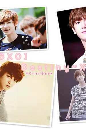 ปกนิยาย [ E X O ] PREDESTINATION HONEY ♡ ChanBaek