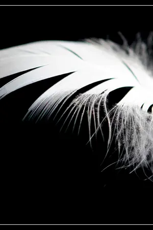 ปกนิยาย Returning of Satan  คืนตำแหน่งพญามัจจุราช