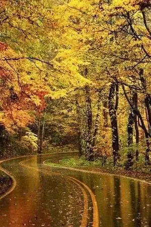 ปกนิยาย [ ?Shortfic : TWICE ] MY EYES  (minayeon)