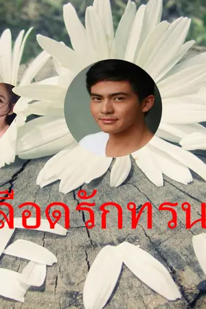 ปกนิยาย เลือดรักทรนง