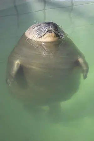 ปกนิยาย Yuri:My Bad Girl ยิ่งเธอร้าย... ฉันยิ่งรัก