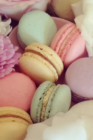 ปกนิยาย [All SF] KrisLay collection รวมเรื่องสั้นคริสเลย์