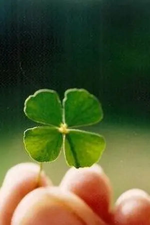 ปกนิยาย [Fic:Black clover]  Short story (yaoi)