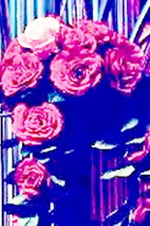 ปกนิยาย < fiction exo > The Violet  Rhythm ☆ <Krisyeol>