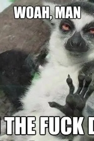 ปกนิยาย เป็นคนจรอยู่ดีๆไหงกลายเป็นสมาชิกทีมผู้กล้า?! [YAOI]