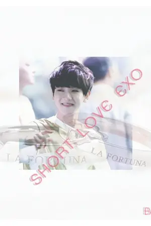 ปกนิยาย [SF] :: SHORT LOVE EXO ::