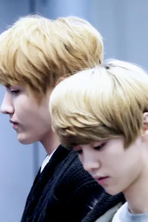 ปกนิยาย CAN U SEE ME ฉันอยู่ในสายตาบ้างรึปล่าว (KrisHan) [FIC]