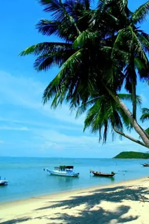 ปกนิยาย "Maroon on Love" ปล่อยเกาะ ณ ความรัก | ChanBaek *END*