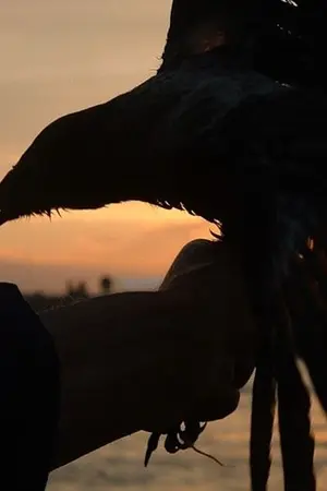 ปกนิยาย "Wings of Serpentine" #ฟิคหวงไข่ | HunHan *END*