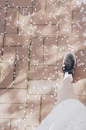 ปกนิยาย SPRING (봄) | MARKBAM