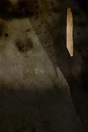 ปกนิยาย The girl in the house