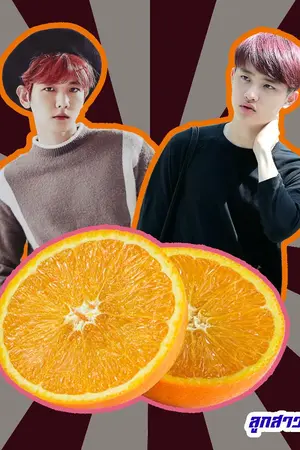 ปกนิยาย ลูกสาวไร่ส้ม (BAEKDO)