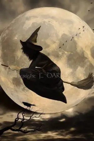 ปกนิยาย Magic shoes