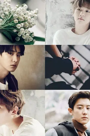 ปกนิยาย (exo) lily of the valley ♡ chanbaek ft.kaihun