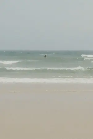 ปกนิยาย Don't know