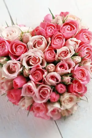 ปกนิยาย The Stranger In The Rain