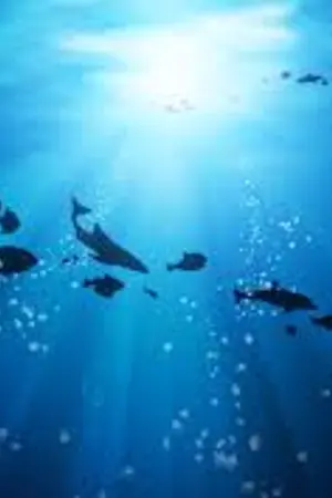 ปกนิยาย Cleanse this Land - ทัณฑ์เทวาใต้ฟ้าคราม