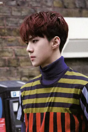 ปกนิยาย EXO X YOU Avenge Love รักนี้ต้องล้างแค้น