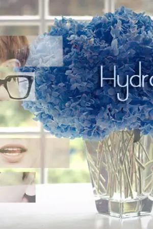 ปกนิยาย C’B PROJECT Hydrangea Lovers ( ChanBaek )