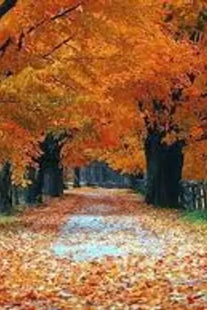 ปกนิยาย [Yuri] Love me please