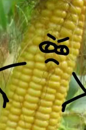 ปกนิยาย ผู้กล้าเอ๋ย ทำไมถึงไม่ยอมฆ่าจอมมาร