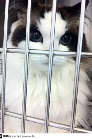 ปกนิยาย ทุ่มรักทั้งใจให้ยัยจอมโหด