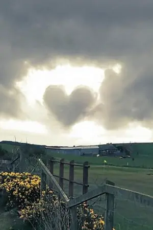 ปกนิยาย ทวงคืนหัวใจรักเรา