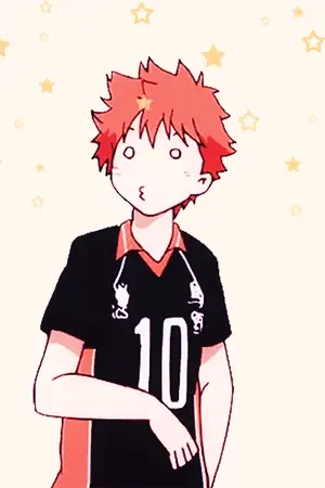 ปกนิยาย [Haikyuu] Allhinata น้องโชต้าวน้อยของแม่ๆ