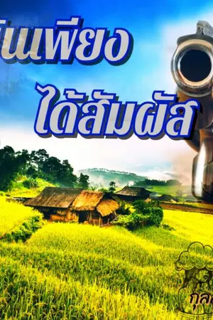 ปกนิยาย