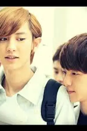 ปกนิยาย My Heart