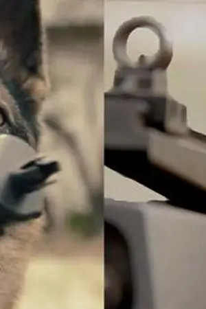 ปกนิยาย Cat & Dog A Battle War