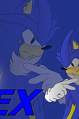 ปกนิยาย Sonic Ex
