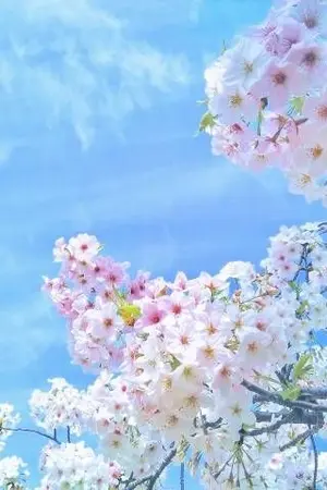 ปกนิยาย นางร้ายแก้เคล็ด กับนางเอกลูกรักสวรรค์