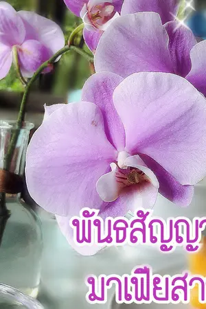 ปกนิยาย พันธสัญญามาเฟียสาว