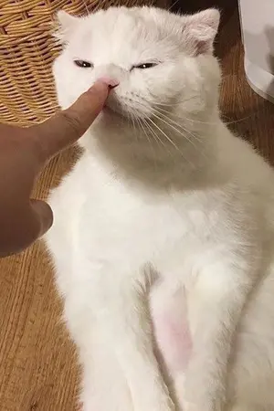 ปกนิยาย พี่ครับ...มาสคาร่าเลอะเสื้อผมหมดแล้ว (yaoi)