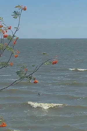 ปกนิยาย (os Hunhan  ) #เจ้าดอกไม้ซ่อนกลิ่น