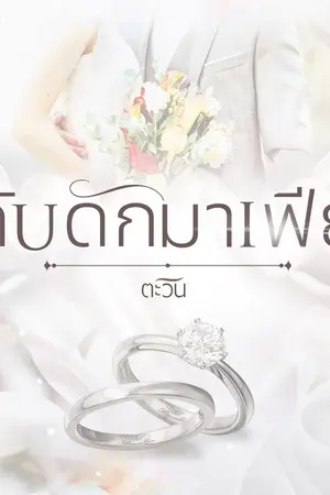 ปกนิยาย กับดักมาเฟีย