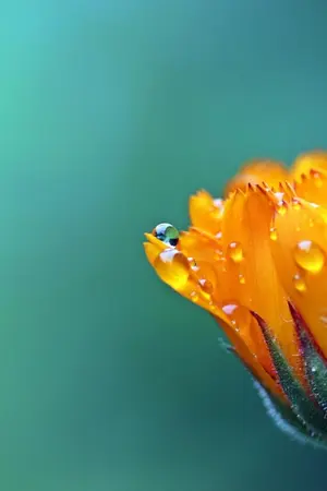 ปกนิยาย ทางรอดของตัวร้ายชาย(สายพันธมิตร)