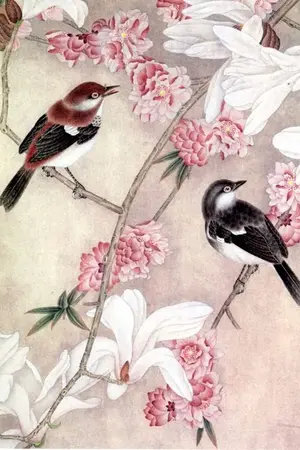 ปกนิยาย ขายนิยายแปลจีนมือสอง  สภาพเยี่ยม!