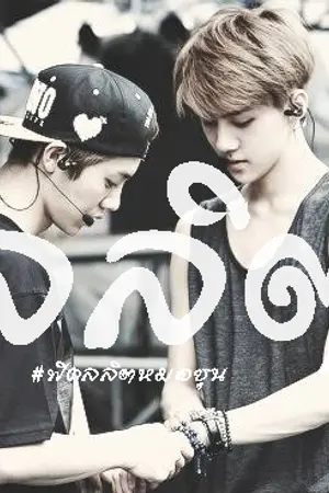 ปกนิยาย exo ลลิต (hunhan |chanbaek | kaido | krislay)