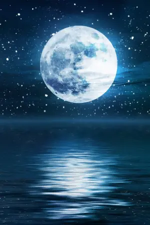 ปกนิยาย เกาะพันจันทร์ 千月岛 : 原因