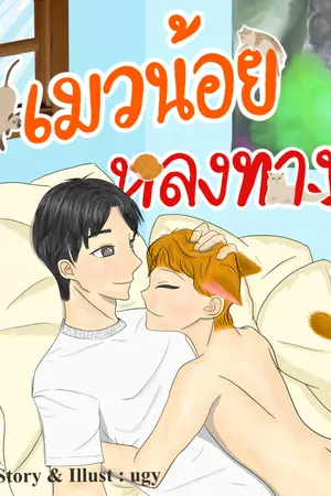 ปกนิยาย