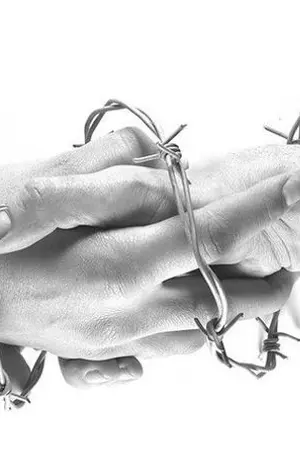 ปกนิยาย Forbidden Love (Noren)