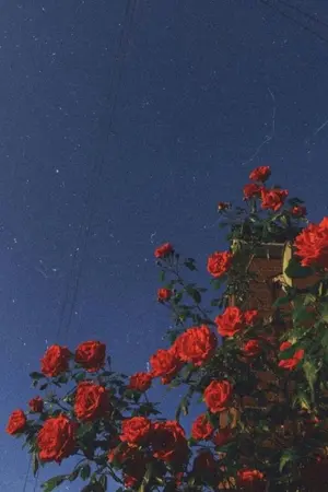 ปกนิยาย wish you were here - minno,all x jeno