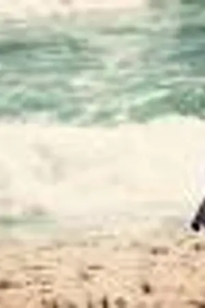 ปกนิยาย Summer is Love ฤดูนั้นฉันรักเธอ