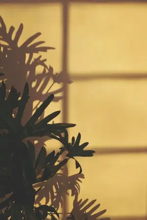 ปกนิยาย (os / sf ) C9BOYZ  #โลมาสีแดง